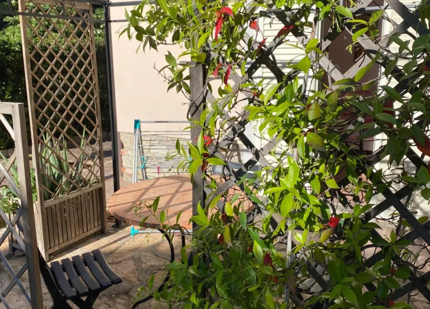 Villa Il Boschetto San Vincenzo Aparthotel