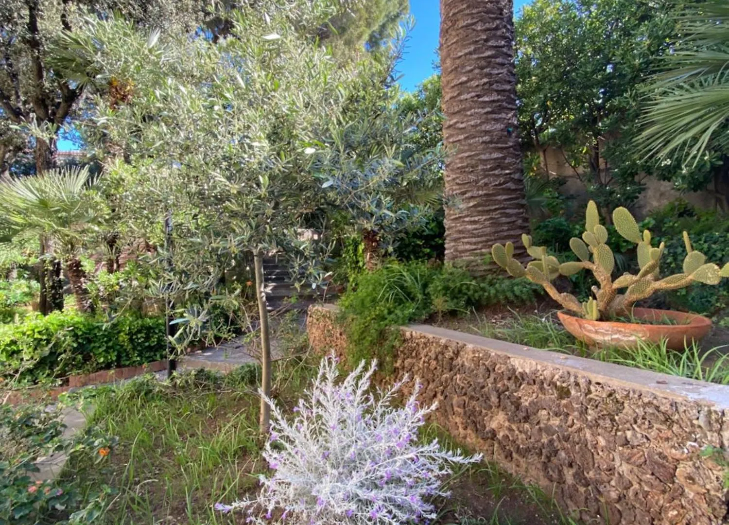 Aparthotel Villa Il Boschetto San Vincenzo