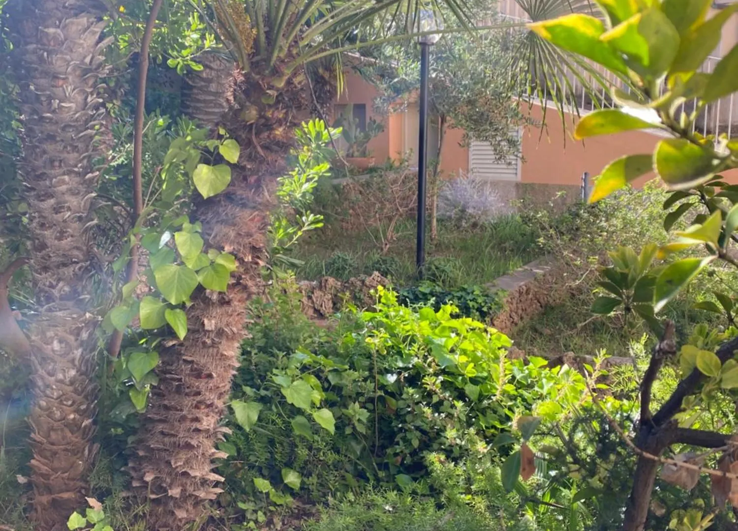 Villa Il Boschetto San Vincenzo Aparthotel